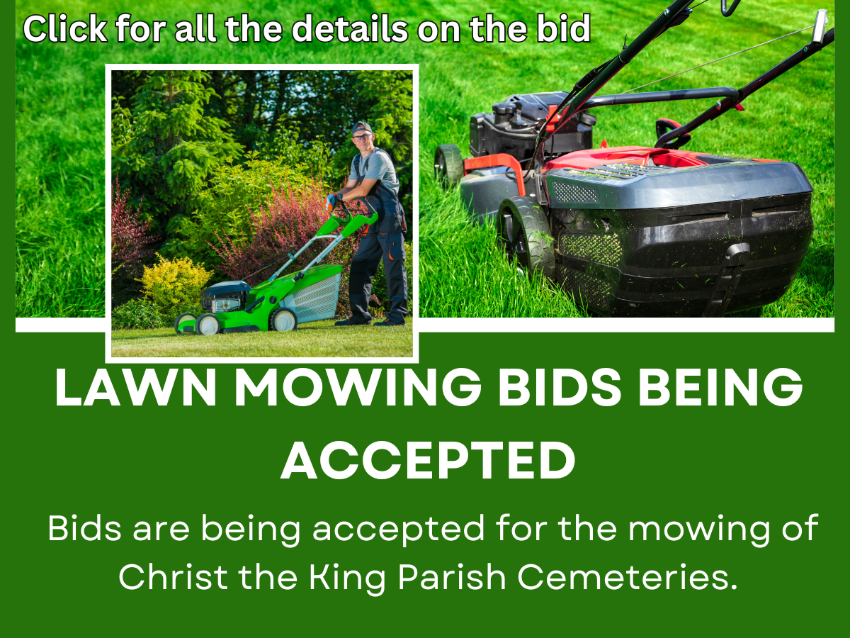 Lawn Mowing Bids